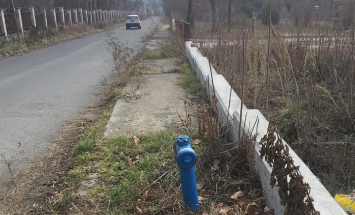 Тревите. Снимка: Личен архив