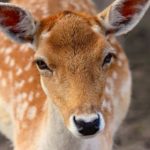 Илюстративна снимка: Пиксабей