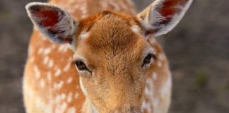 Илюстративна снимка: Пиксабей