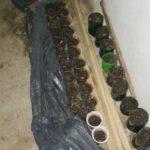 Акция на МВР