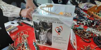 Подготовка за базара. Снимка: Личен архив