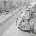 84090276 10214891233946700 4972141234643533824 n