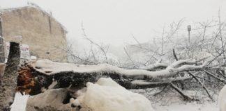 Автомобилът. Снимка: Фейсбук, Veronika Hudina