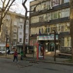 Паднали клони