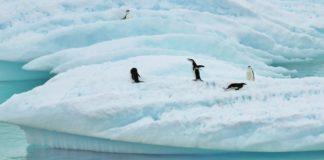 Антарктида