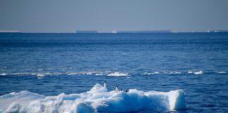 Антарктида