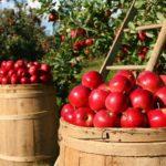 Илюстративна снимка: Пиксабей