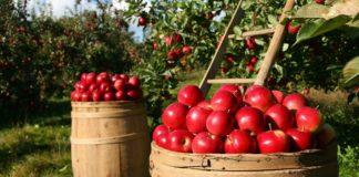 Илюстративна снимка: Пиксабей