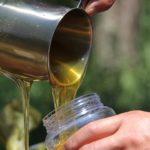 Илюстративна снимка: Пиксабей