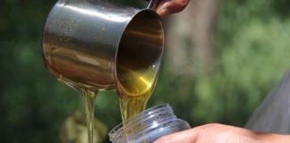 Илюстративна снимка: Пиксабей