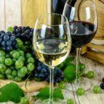 Илюстративна снимка: Пиксабей