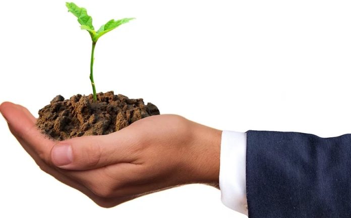 Илюстративна снимка: Пиксабей