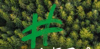 Бритиш петролиъм