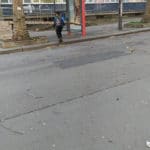 Паднали клони