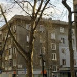 Паднали клони