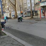 Паднали клони