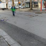 Паднали клони