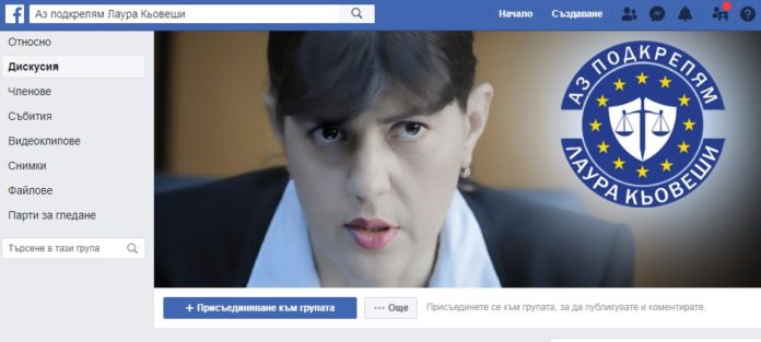 Аз подкрепям Лаура Кьовеши