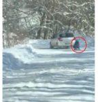 Кадри от дърпането