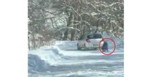 Кадри от дърпането