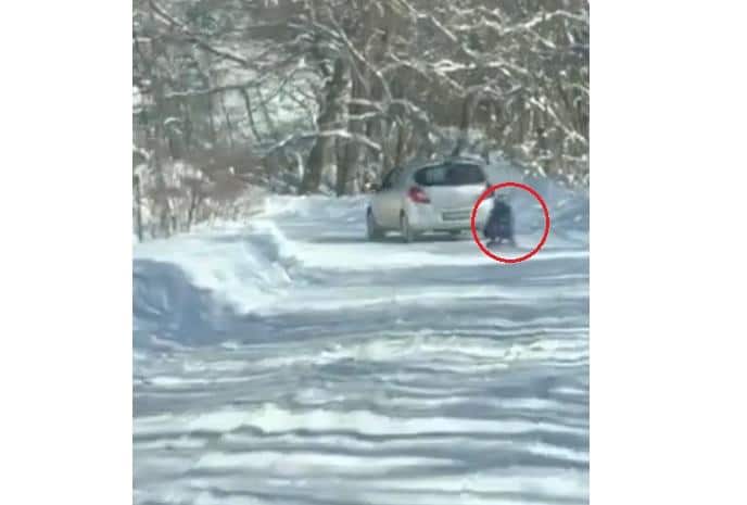 Кадри от дърпането