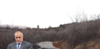 Магистрален пич