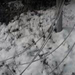 Врачанско село