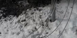 Врачанско село