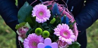 Илюстративна снимка: Пиксабей