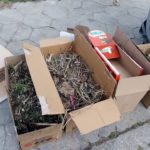 88143702 297234454584384 9145481641005678592 o