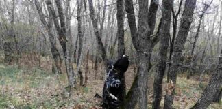 Катастрофа