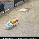 Коронавирус смях