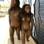 Коронавирус смях