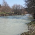 Замърсиха река Тополница с хвост
