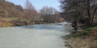 Замърсиха река Тополница с хвост