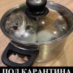 Коронавирус смях