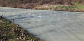 Замърсената река Тополница