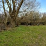 Замърсяване с автомобилни гуми