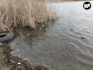 Замърсяване с автомобилни гуми