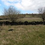 Замърсяване с автомобилни гуми