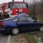 Снимка: Скрийншот от видео на NOVA