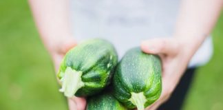 Илюстративна снимка: Пиксабей