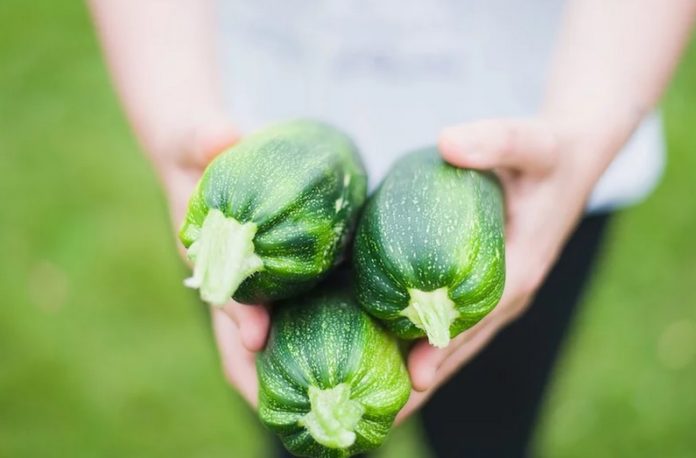 Илюстративна снимка: Пиксабей