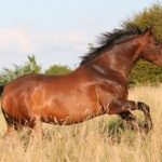 Илюстративна снимка: Пиксабей