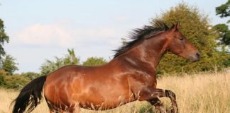 Илюстративна снимка: Пиксабей