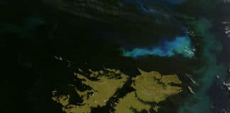 Фолкландските острови