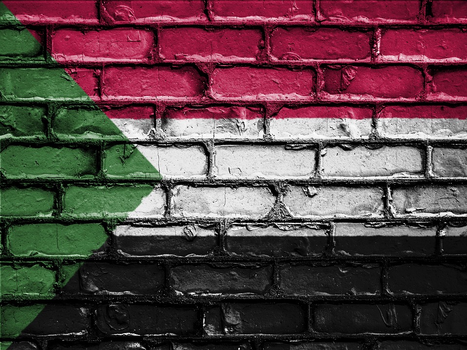 Още двама български граждани бяха евакуирани успешно от Судан Те