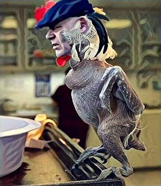 Един български ястреб