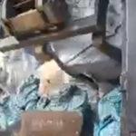 Италиански боклук