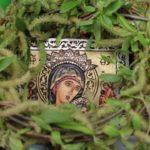 Икона, върба, клонка